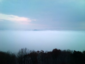 霧の海2011その4